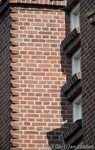 Detail, Saffierstraat
<br/>
Gert-Jan Lobbes, 2016
